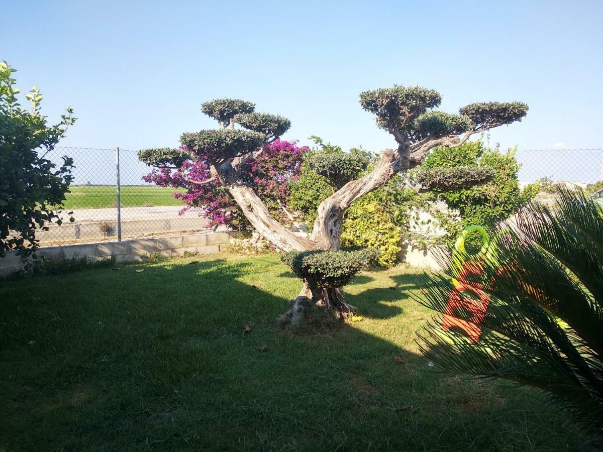 Caseta Rovira Deltebre Exterior photo